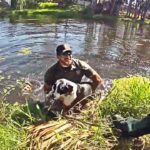 Florida Deputy Jumps into Canal to Rescue Stranded Dog