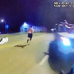 Springfield Officer Shoots Suspect Who Fired Gun During Arrest Attempt