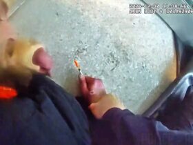 Man Tries to Attack Officer With Needle During Arrest