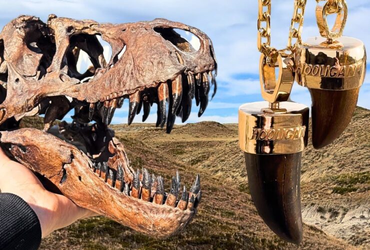 Digging Up ,000,000 Dinosaur Fossils