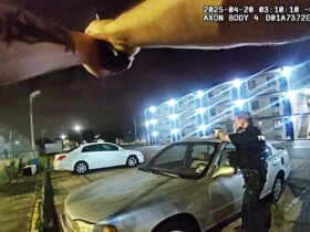Baton Rouge Officer Shoots Gunman Who Fired From Vehicle