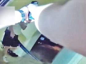 Cops Open Fire After Man Emerges With Shotgun During Domestic Call