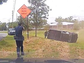 Police Shoot Armed Robbery Suspect After Crashing During Pursuit
