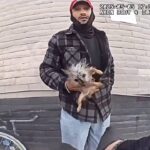 Suspect Throws Small Dog at Police Officer While Attempting Escape