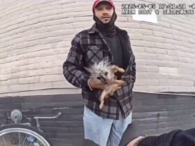 Suspect Throws Small Dog at Police Officer While Attempting Escape