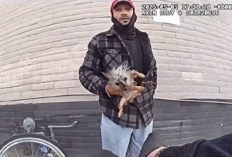 Suspect Throws Small Dog at Police Officer While Attempting Escape