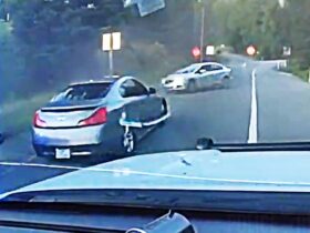 2 Brothers Team Up to Escape Cops in Wild Dual Freeway Chase