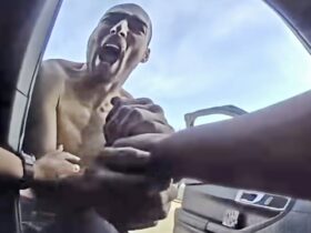 Shirtless Suspect Steals Gun From Female Cop