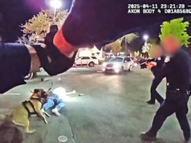 Elk Grove Officers Shoot Man Holding Loaded Revolver Outside In-N-Out