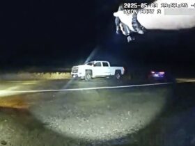 Utah Park Rangers Open Fire After Suspect Crashes Into Their Cruiser