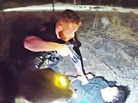 Police Chase Ends With Suspect Shot Near Railroad Tracks