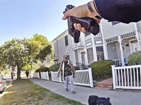 San Diego Police Officer Shoots Hatchet-Wielding Man After Library Rampage