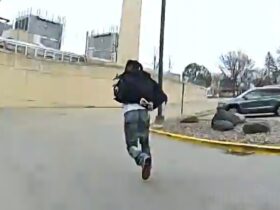Suspect Flees Cops Twice in One Afternoon