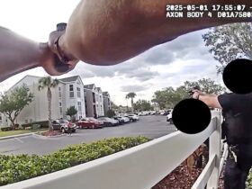 Orlando Police Shoot Man Who Was Waving a Fake Gun at 7-Eleven