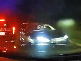 Tire Theft Suspect Crashes into Officers Then Tries to Swim Away