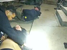 Bodycam Shows Chicago Officer Shot During Struggle With Armed Suspect
