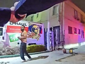 Man Pulls Fake Gun on Officers During Robbery Response in LA
