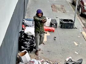 Suspect Points Pipe Shaped Like Shotgun at Officers and Gets Shot by LA Police