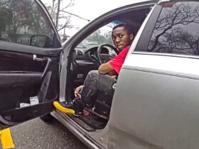 Jacksonville Officers Punch Man After He Refuses to Exit Car