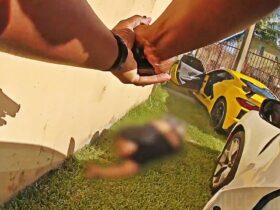 Corvette Driver Runs at Deputies With Loaded Gun and Gets Shot