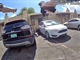 Man Calls 911 on Himself Then Points Fake Gun at Officer