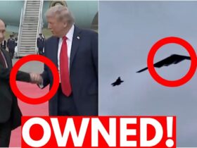 Trump DOMINATES Putin, Humiliates Him Publicly