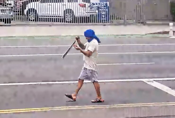 LA Officers Shoot Suspect Armed With Machete