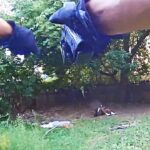 Rochester Police Officer Shoots Suspect Who Refused to Stop Pistol-Whipping a Man