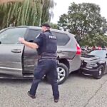 Fleeing Suspect Crashes into Police Cruisers after Attacking Planet Fitness Staff