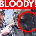 Russia UNLEASHES Brutal Bombing On Ukraine *STRIKE FOOTAGE*