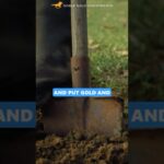 How To Store Gold and Silver #preciousmetals #gold #silver #money #vault #security #bitcoin #btc