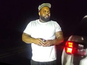 Louisiana Trooper Shoots Driver Who Reached For Gun During Traffic Stop