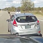 Police Tase Suspect After Dangerous Wrong Way Chase In Michigan