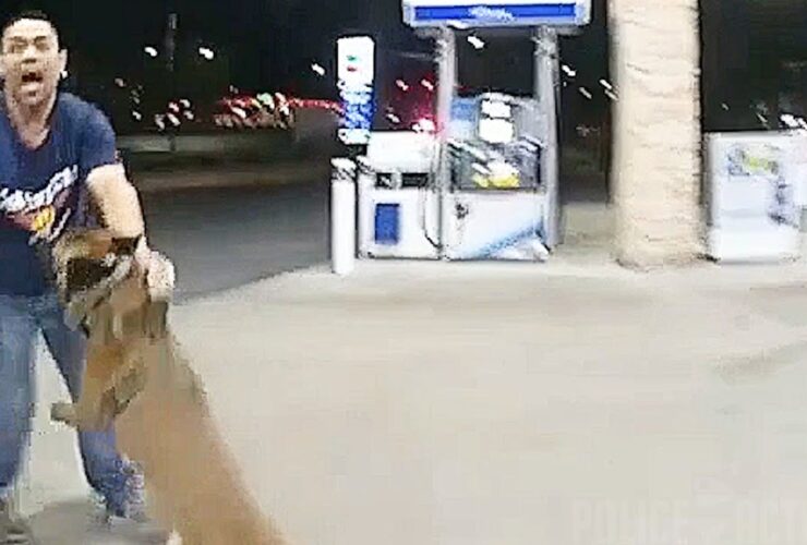 Police K9 Takes Down Gunman Accused Of Las Vegas Shooting Spree
