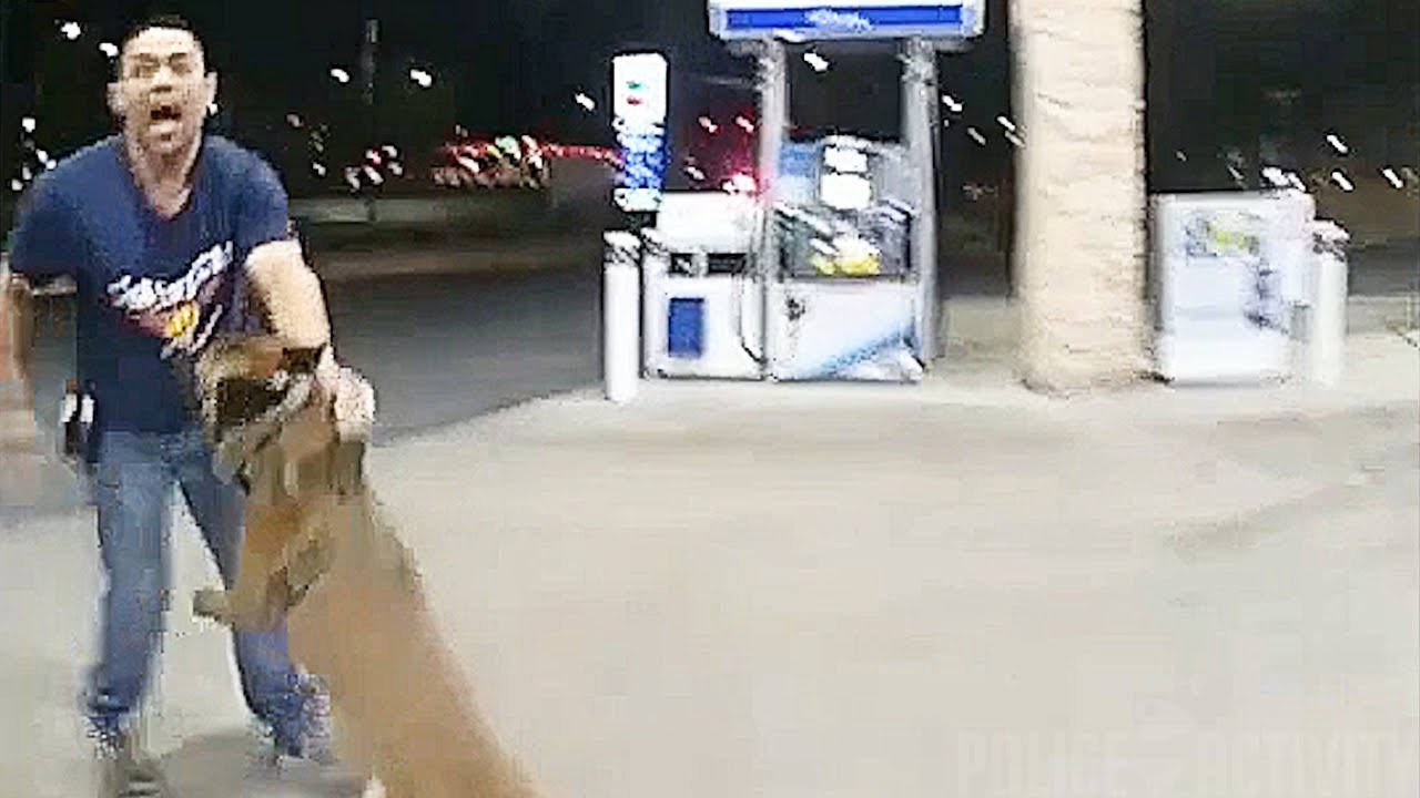 Police K9 Takes Down Gunman Accused Of Las Vegas Shooting Spree