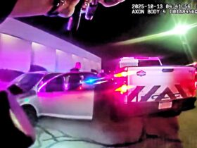 Police Shoot Suspect Who Rammed Patrol Vehicle And Charged With Knife