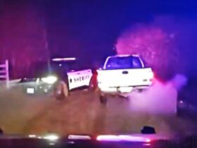 Grappler Ends Chase but Burglary Suspect Starts Shooting Grappler Ends Chase but Burglary Suspect Starts Shooting