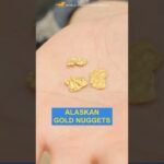 Raw gold nuggets straight from the ground 😳