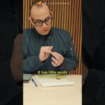 What a Brilliant Uncirculated coins looks like!