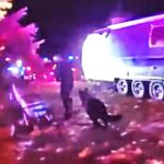 K9 Igo Ends Suspect's Escape Attempt Instantly