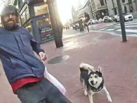 Off-Leash Dog And Owner Trigger Police Shooting