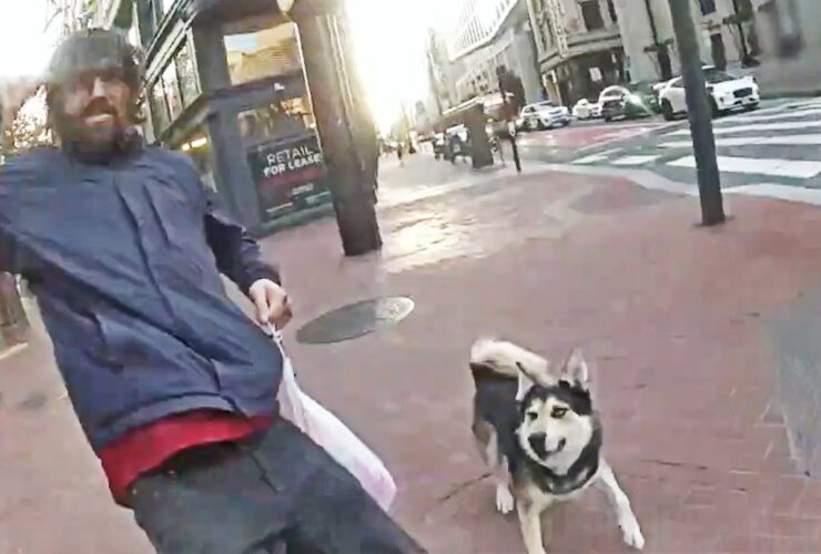 Off-Leash Dog And Owner Trigger Police Shooting