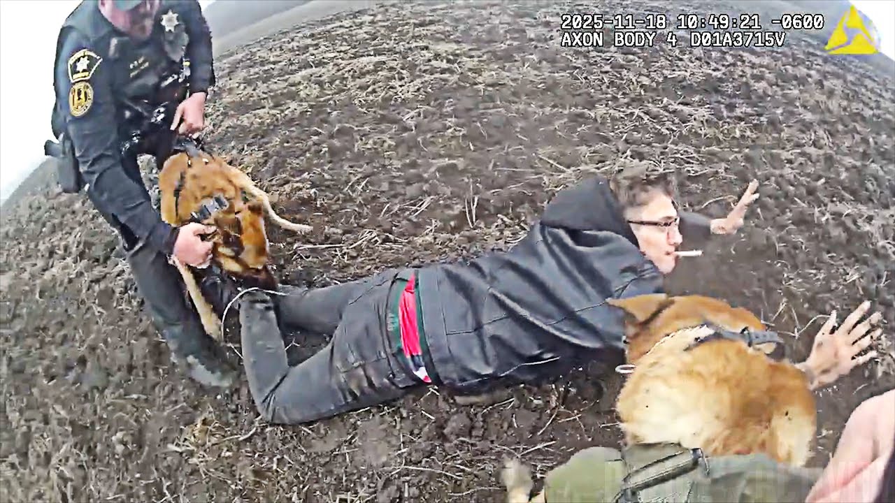 K9 Duo Brings Down Kenosha Shooting Suspect in a Muddy Field