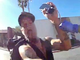 Carjacking Suspect Shot After Vape Pen Thought To Be Knife