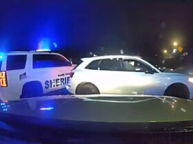 Woman Flees In Stolen Car Until Grappler Stops Her