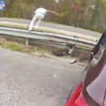 Deputies Chase Interpol Fugitive Who Fled From Traffic Stop and Stole Vehicle