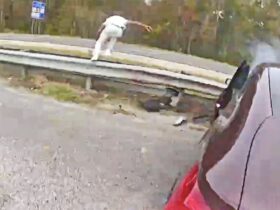 Deputies Chase Interpol Fugitive Who Fled From Traffic Stop and Stole Vehicle