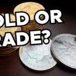 Are Silver and Gold About to Crash? HOLD or TRADE?
