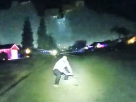 Bakersfield Officer Fires After Suspect Aims Gun During Physical Struggle Bakersfield Officer Fires After Suspect Aims Gun During Physical Struggle