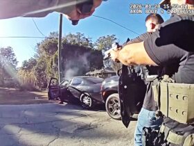 Florida Man Robs Stores At Gunpoint Loses To Power Pole